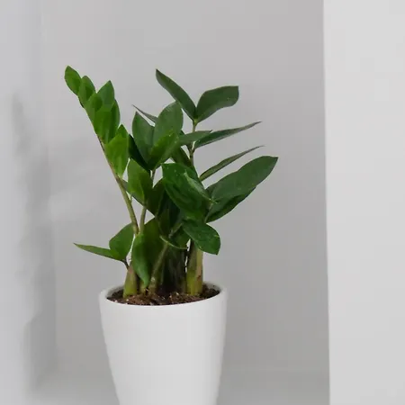 Apartamento New 3 Bedroom Luxury Family - Airco, King Size Beds, Fully Equipped Kitchen, Balcony, Washingmachine, 2 Bathrooms, Free Parking, Fast Internet, 142m2 *