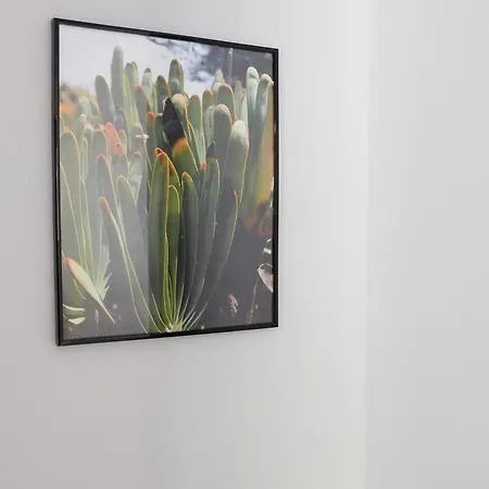 New 3 Bedroom Luxury Family - Airco, King Size Beds, Fully Equipped Kitchen, Balcony, Washingmachine, 2 Bathrooms, Free Parking, Fast Internet, 142m2 Machico (Madeira)