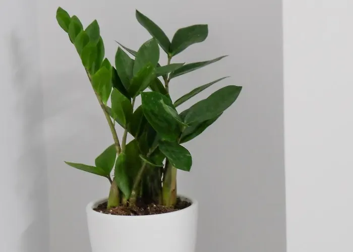 公寓 New 3 Bedroom Luxury Family - Airco, King Size Beds, Fully Equipped Kitchen, Balcony, Washingmachine, 2 Bathrooms, Free Parking, Fast Internet, 142m2 *