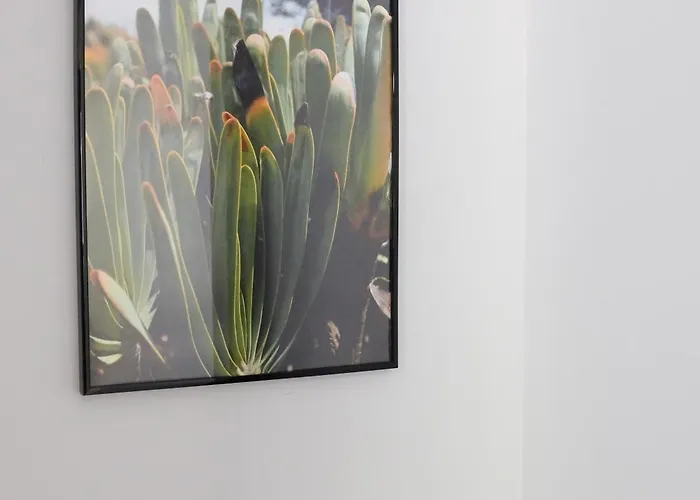 New 3 Bedroom Luxury Family - Airco, King Size Beds, Fully Equipped Kitchen, Balcony, Washingmachine, 2 Bathrooms, Free Parking, Fast Internet, 142m2 马希库